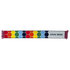 files/2026_11_PRIDE_SCARF_flat_reverse.png