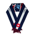 2026 Scarf Series - The World's Game